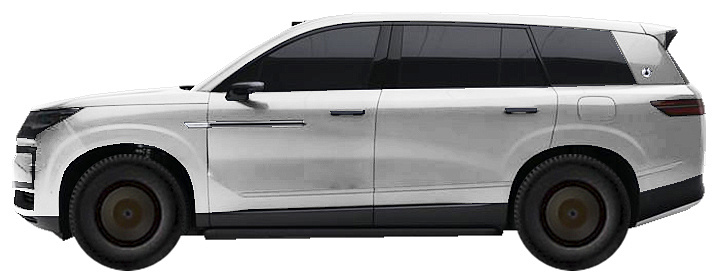 DENZA N9 SUV I (2024-2025) 2.0 PHEV 4WD